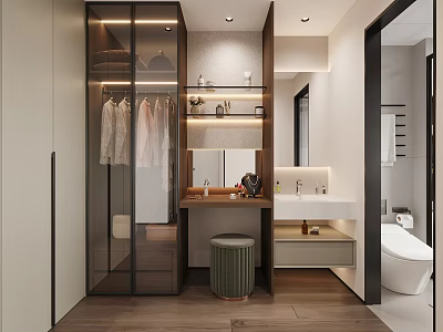 Modern Bathroom Interior With Walk in Closet Vanity Sink Mirror and Toilet 3d model
