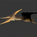 Prehistoric Pterosaur Reptile Flying With Outstretched Wings And Long Beak