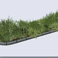 Lush Green Shrubs With Various Leaf Shapes Planted In Stone Border 3d model