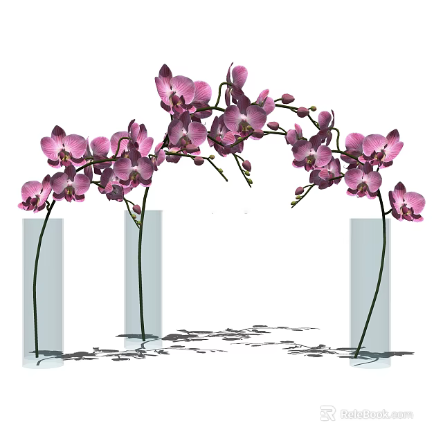 Elegant Pink Orchid Flowers Arranged In Transparent Vases With Water Reflections 3d model 