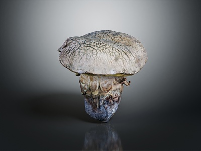 Modern Mushroom Straw Mushroom Poisonous Mushroom Plant Mushroom 3d model