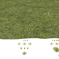 Lush Green Grass Field With Sunlight And Natural Shadow Patterns 3d model