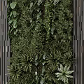 Vertical Garden Wall Decor With Various Green Plants 3d model