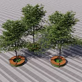 Circular Wooden Tree Planters With Three Green Trees On Striped Pavement Surface 3d model