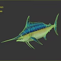 Striking Blue And Yellow Striped Sailfish With Long Bill And Sail Like Dorsal Fin