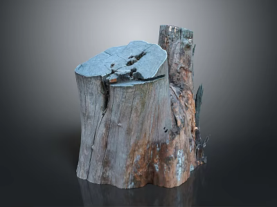 Natural Wooden Stone Decorative Stump Sculpture With Rustic Texture And Artistic Design 3d model