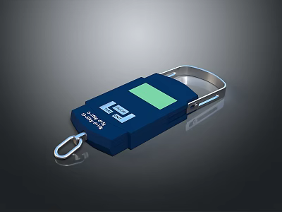 Portable Blue Commercial Equipment with Digital Display and Hanging Hook Weighing Max 100kg Capacity 3d model