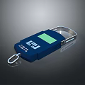Portable Blue Commercial Equipment with Digital Display and Hanging Hook Weighing Max 100kg Capacity