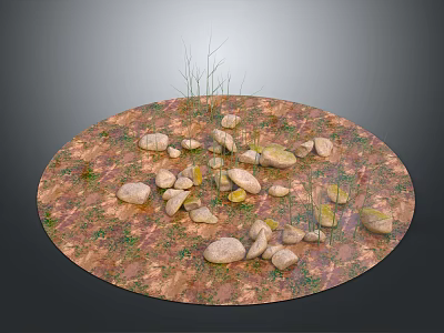 Natural Terrain With Scattered Stones Dirt And Small Grass In Circular Area 3d model