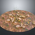 Natural Terrain With Scattered Stones Dirt And Small Grass In Circular Area
