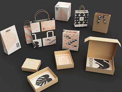 Package Boxes and Tote Bags with Geometric Patterns and Neutral Color Designs in Various Styles 3d model