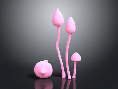 Pink Mushroom Like Plants Of Various Sizes On Dark Background With Reflection 3d model