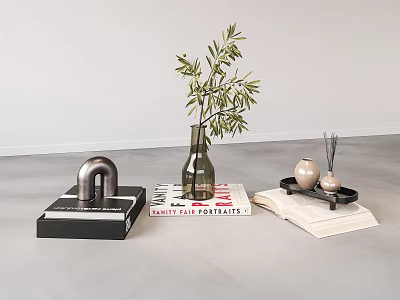 Modern Minimalist Decorative Ornament Set With Olive Branch Vase Metal Sculpture Books And Tray 3d model