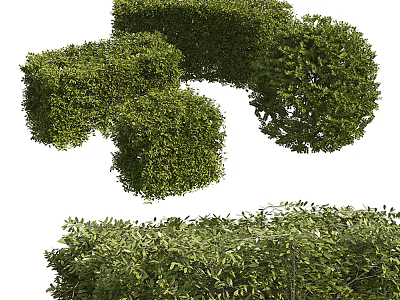 Well Trimmed Green Shrubs In Various Shapes For Garden Landscape Design 3d model