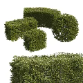 Well Trimmed Green Shrubs In Various Shapes For Garden Landscape Design