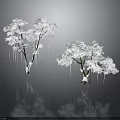 Two White Frosted Trees With Hanging Icicles And Clear Reflection On Dark Background