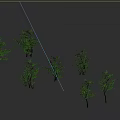 Multiple Green Arbor Trees With Various Forms And Shadows On Gray Background 3d model