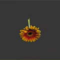 Vibrant Gerbera Flower With Yellow Red Petals And Dark Center On Green Stem