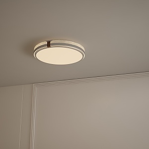 Simple ceiling lamp 3d model