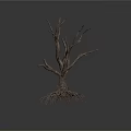 Withered Tree with Exposed Roots and Dry Branches on Dark Background