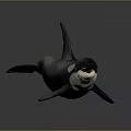 Realistic Black And White Orca Marine Animal With Open Mouth And Dorsal Fin