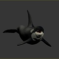 Modern whale cartoon whale killer whale mammal 3d model