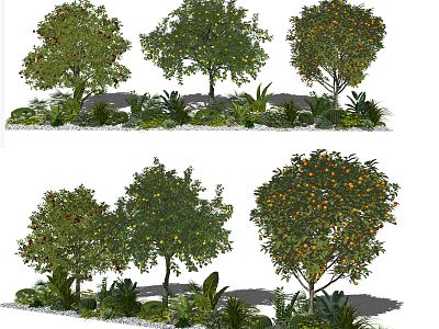 modern fruit tree fruit tree gardening sketch plant green plant model