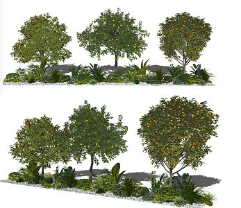 modern fruit tree fruit tree gardening sketch plant green plant 3d model