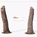 Natural Arbor Tree Trunks With Textured Bark Standing Isolated Against White Background 3d model