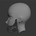 White Mannequin Head Showing Detailed Facial Features And Dark Curly Beard