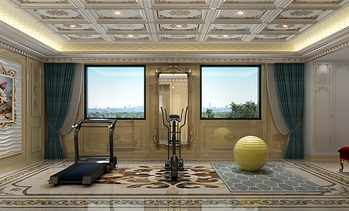 European-style recreation room villa gym 3d model