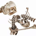 Gothic Decorative Ornament Set with Realistic Skulls and Skeleton Bones 3d model