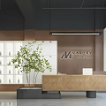Stylish Modern Beauty Salon Interior With Wooden Reception Desk And Green Plant