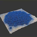 Freshly Roasted Coffee Beans Piled On Parchment Paper With Dark Grey Backdrop