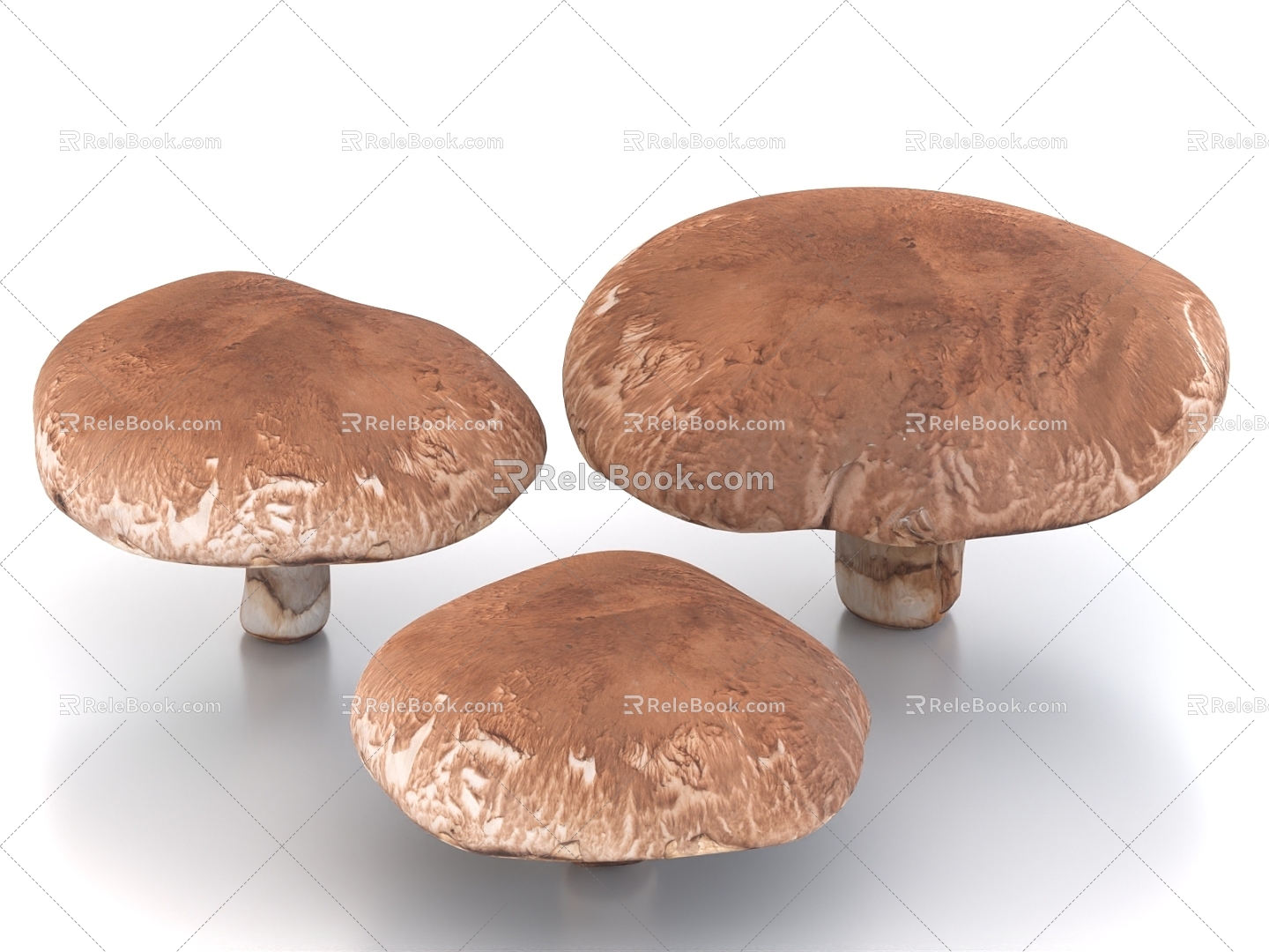 mushroom vegetable food shiitake mushroom 3d model