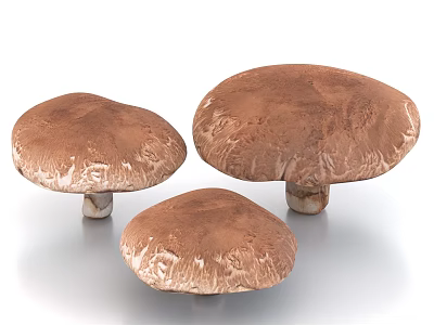Three Fresh Brown Mushrooms of Various Sizes with Textured Caps and White Stems 3d model