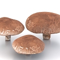 mushroom vegetable food shiitake mushroom 3d model