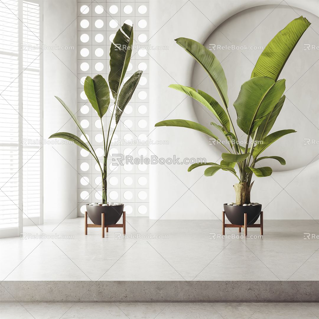 Modern potted plant potted combination 3d model