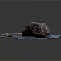 Wood and Stone Decorative Sculpture With Blue Base And Natural Textured Design