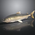 Realistic Silver Fish Side View With Shiny Scales On Dark Background