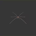 Realistic Pink Spider With Long Legs On Gray Background 3d model