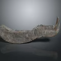 Ancient Animal Organ Fossil With Curved Jawbone And Hair Traces On Dark Background