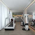 Modern Home Gym With Treadmill Elliptical Machine Mirror Walls White Curtains And Wooden Floors
