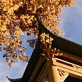 Chinese style pavilion ancient built door pavilion 3d model