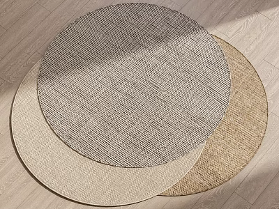 Woven Round Rugs in Neutral Tones for Living Room Bedroom Home Decor 3d model