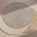 Modern Round Carpet 3d model