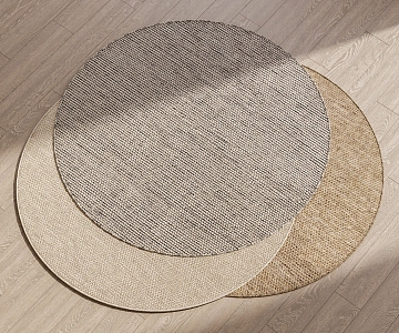 Modern Round Carpet 3d model