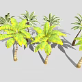 Green and Yellow Leafy Palm and Banana Trees with Light Colored Trunks in Gray Background