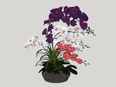 Bonsai Potted Plant With Purple White Pink Orchids And Green Leaves In Dark Pot 3d model