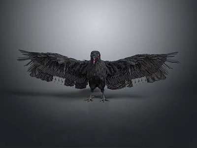 Black Raven with Spread Wings and Detailed Feather Texture on Gray Background 3d model